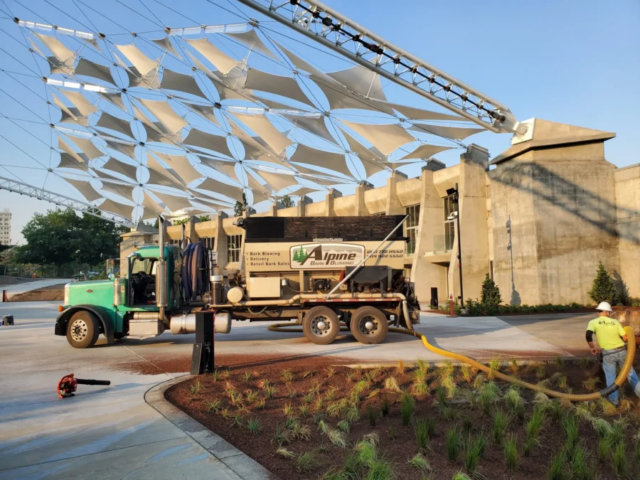 20190807_070606-scaled copy