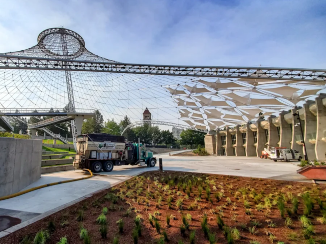 20190807_081835-1 copy