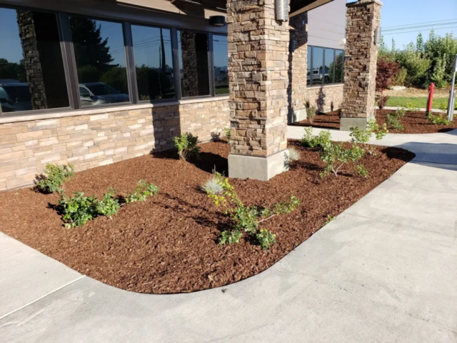 69541823_1133840453473297_7244005619412238336_n-scaled copy