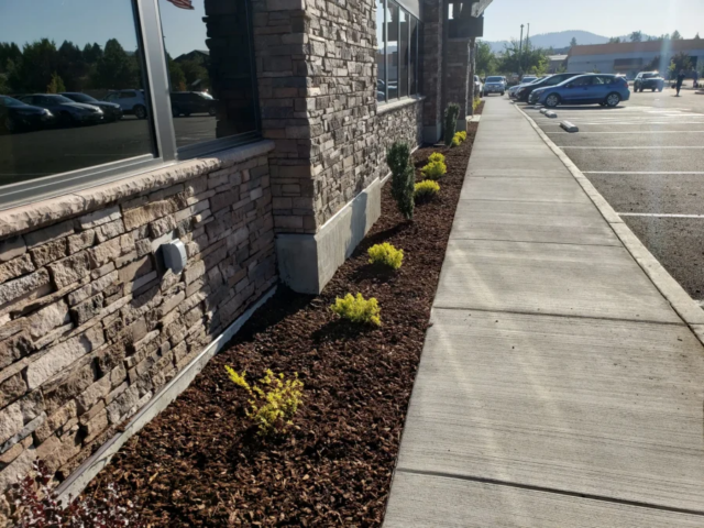 69589508_671220686622449_4788174672820699136_n copy