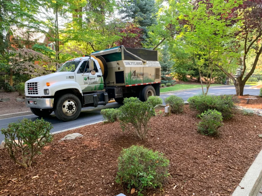 How Soil Builders and Compost Save Your Garden