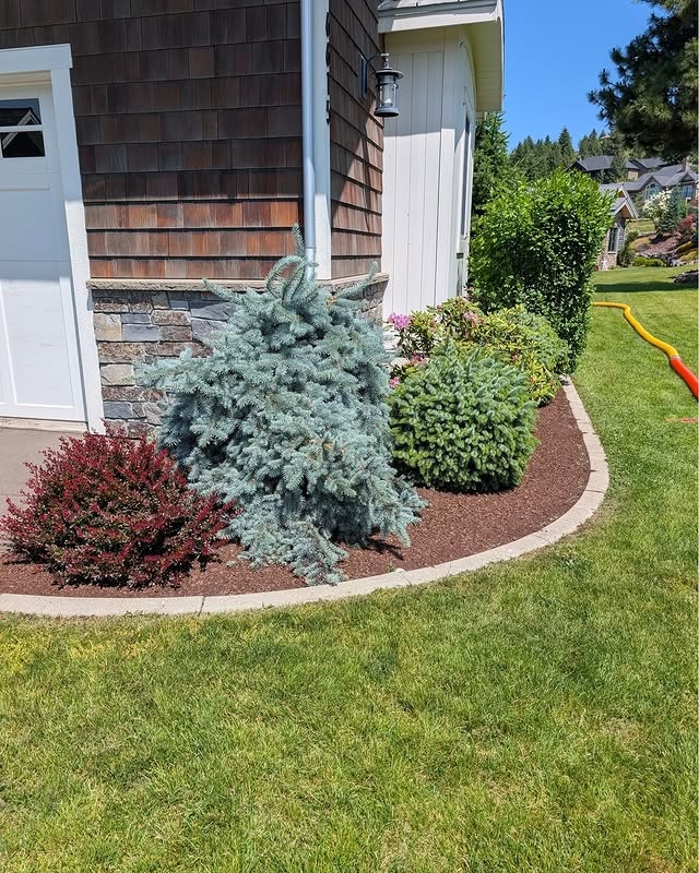 bark mulch insulation