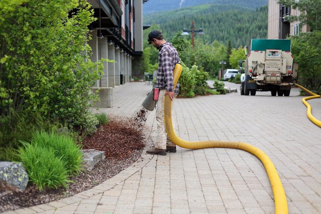 bark mulch winter preparation secrets